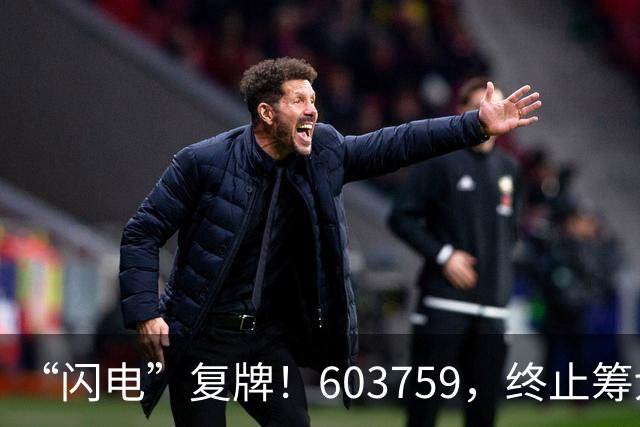 “闪电”复牌！603759，终止筹划重大事项