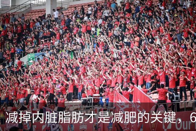 减掉内脏脂肪才是减肥的关键，6个方法让体脂率轻松掉10%！